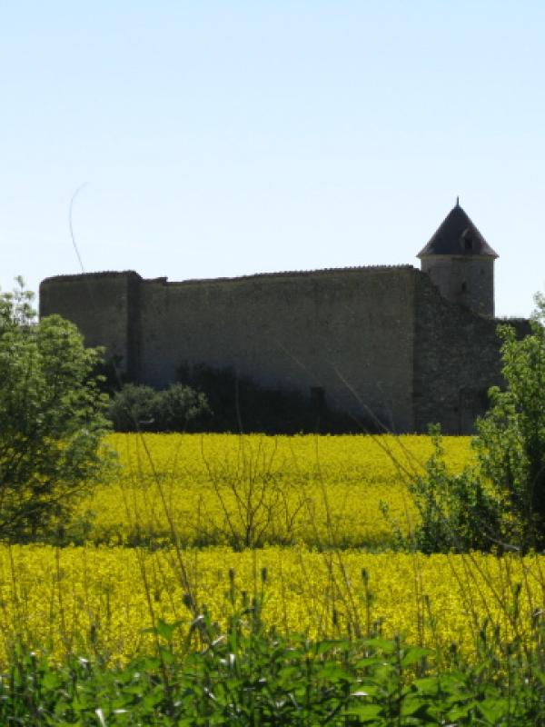 Château d'Aigues Mortes